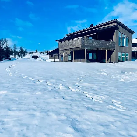 Artic Villa