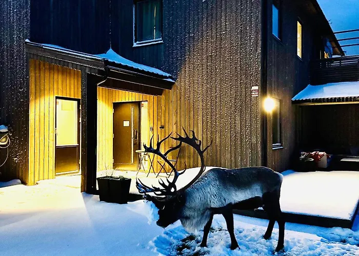 Villa Arctic Kvaloya